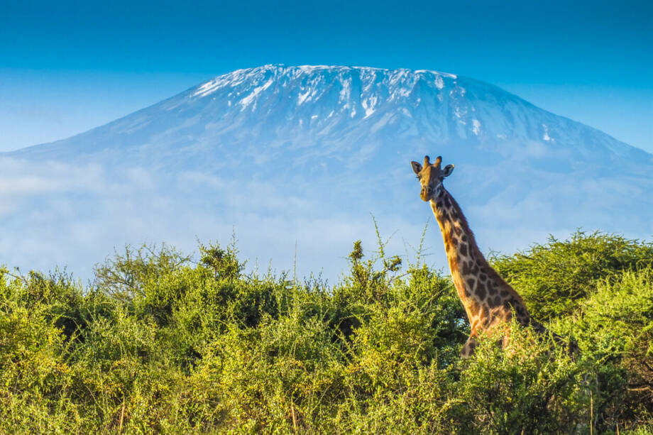 SAFARI ERLEBNIS DELUXE IN KENIA 