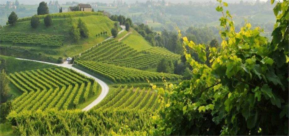 SPRUDELNDE LEBENSFREUDE IM PROSECCOLAND  -  Gruppenreise mit dem Bus im Mai -  6 Plätze