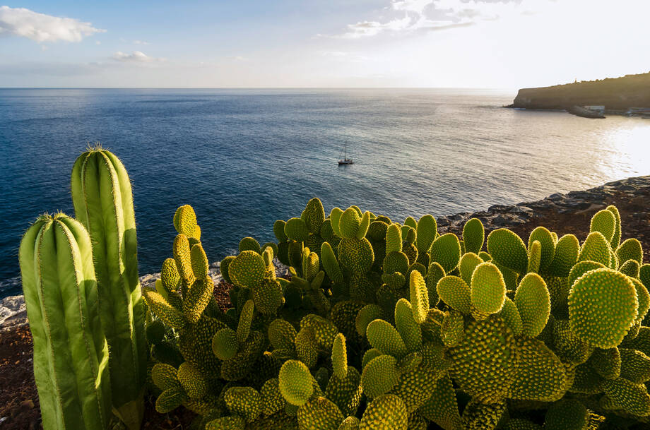 lanzarote